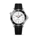 Omega Seamaster DIVER 300M CO?AXIAL MASTER CHRONOMETER Ref# 210.32.42.20.04.001