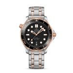 Omega Seamaster DIVER 300M CO?AXIAL MASTER CHRONOMETER Ref# 210.20.42.20.01.001