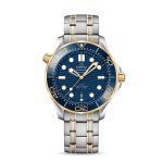 Omega Seamaster DIVER 300M CO?AXIAL MASTER CHRONOMETER Ref# 210.20.42.20.03.001