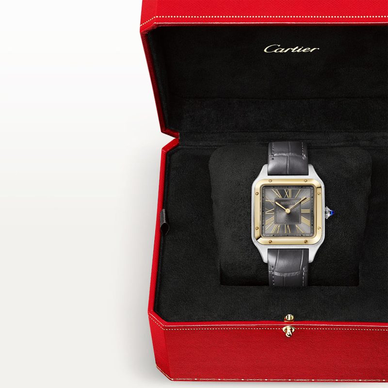 Santos-Dumont Large Steel & 18ct Yellow Gold Strap Watch - Image 5