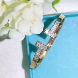 TIFFANY & CO. JEWELREY ¨C WJL53